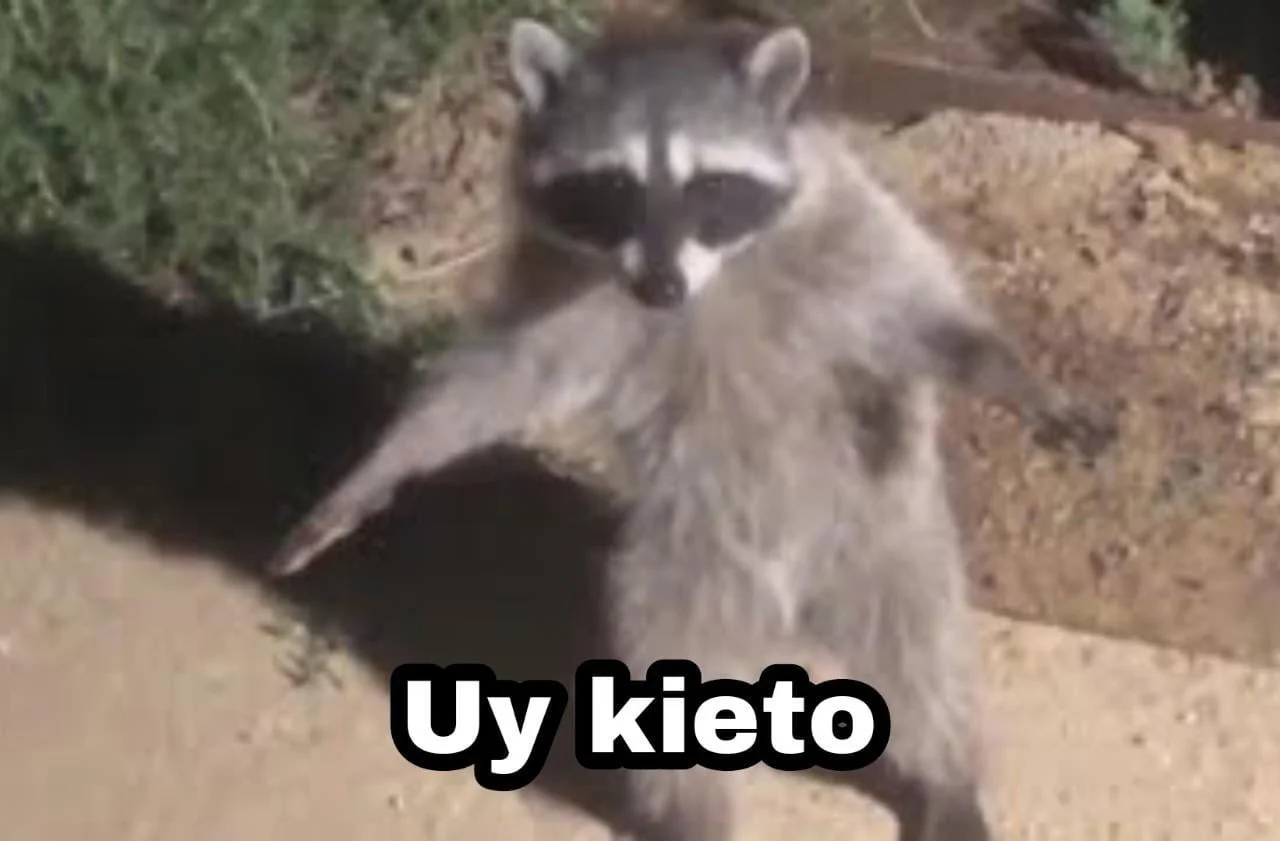 =0e.webp