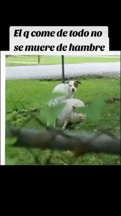 1000050923.webp
