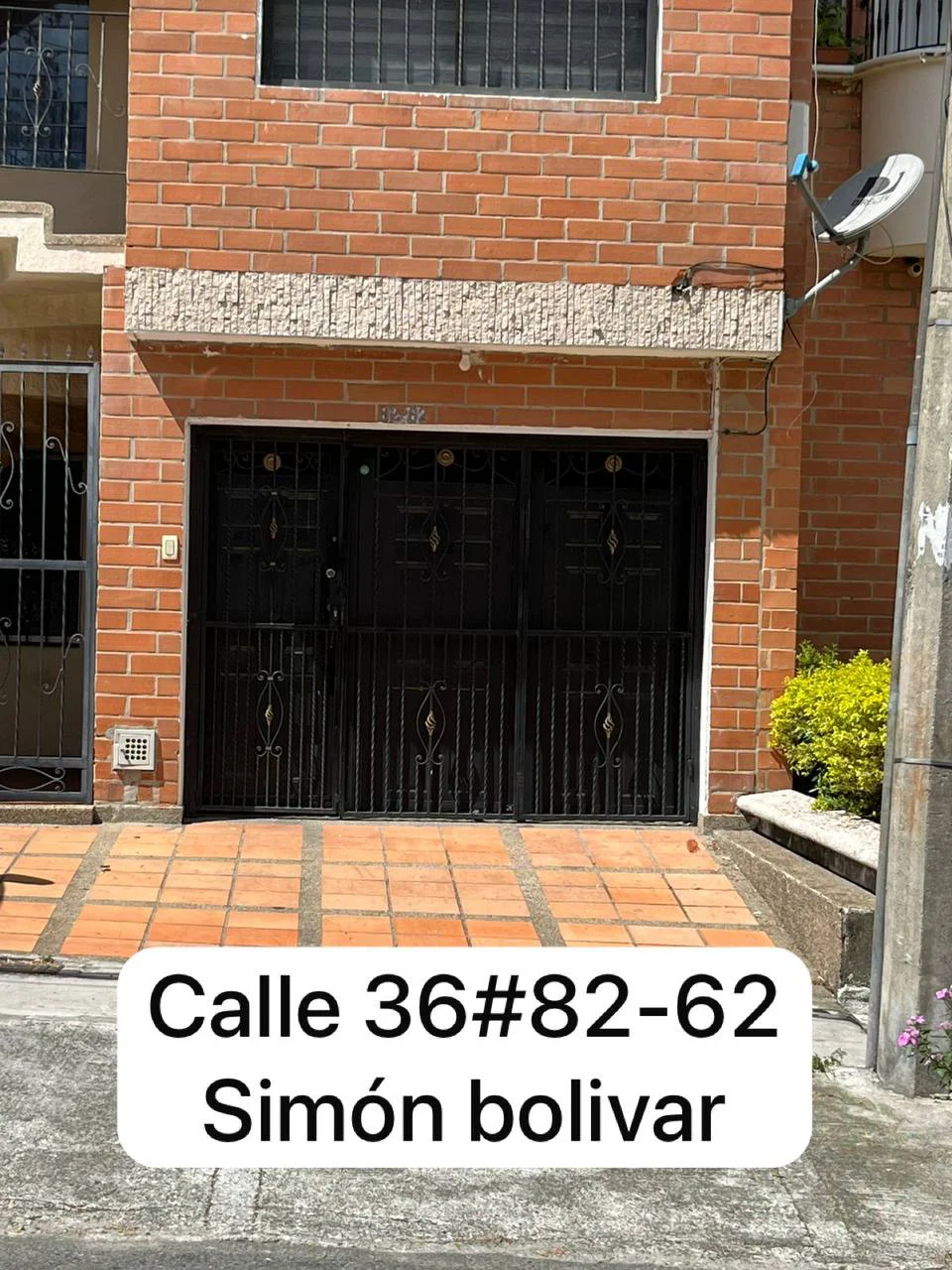 1000052594.webp