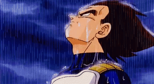 1000058462.gif