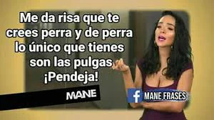 1632857552889.webp