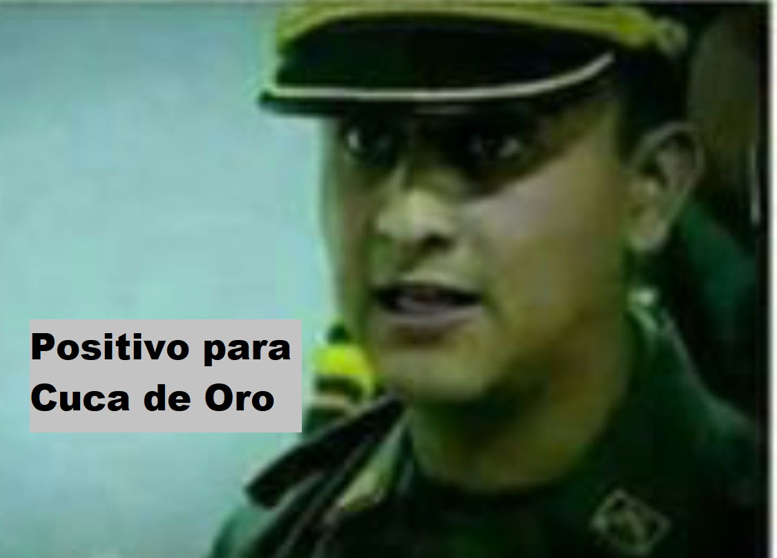1697654520896.png