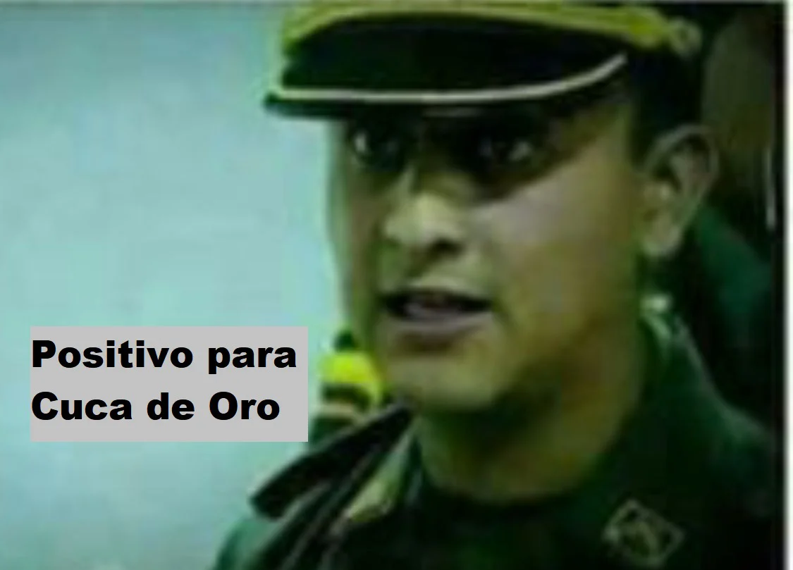 1697654520896.webp
