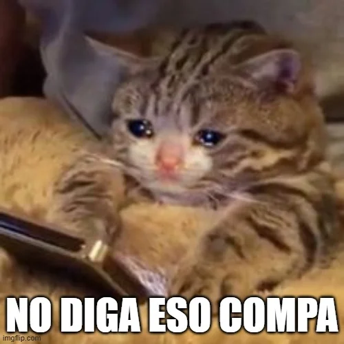 1738281016261.webp