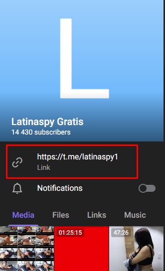 1740788774273.png