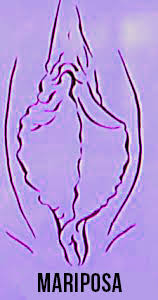 1744416519313.png