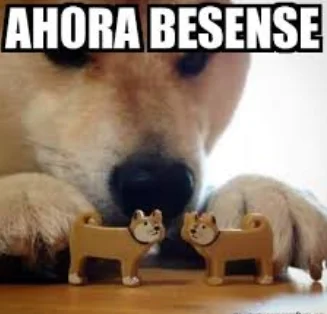 1747751713686.webp