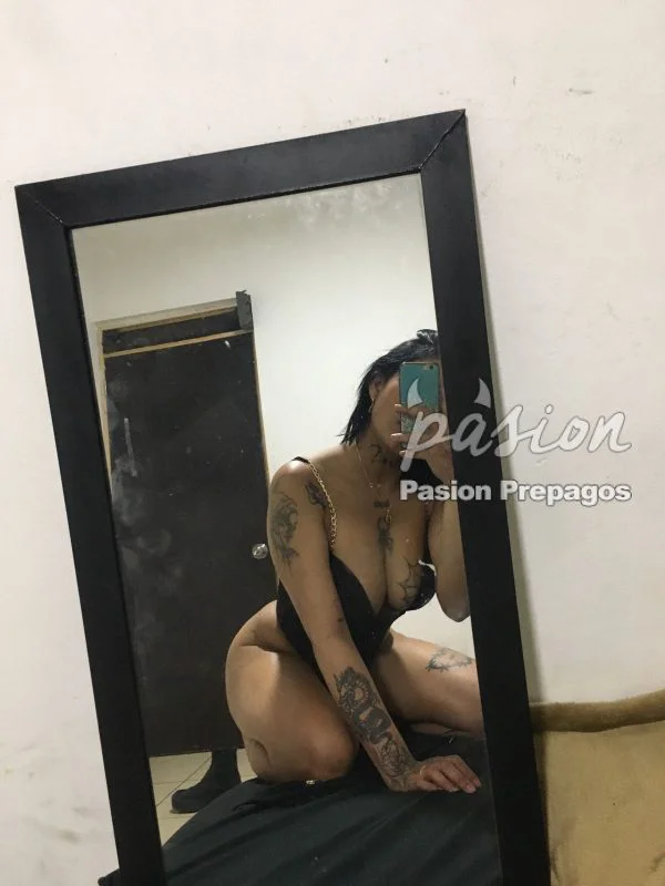 1750538975462.webp