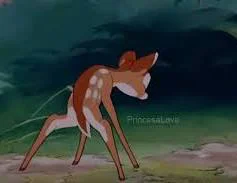 1785554931814.webp