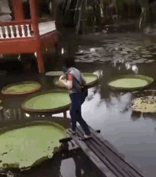 26187542-FAE0-438E-844F-6F25C76B0647.gif