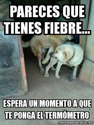 3635414.webp