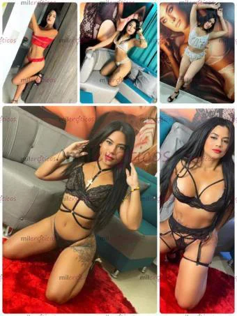 511c0119450fe5185ca5a8925a0442d3.webp