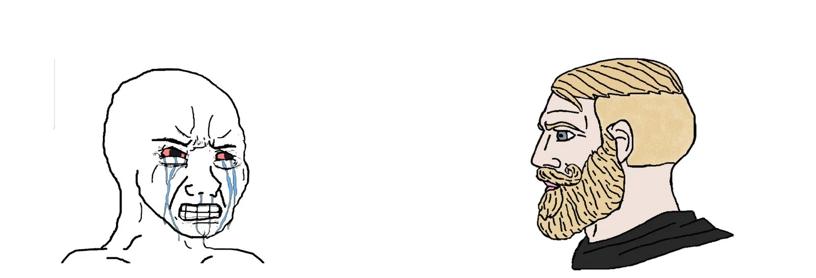 5f4daf0e20c84.webp