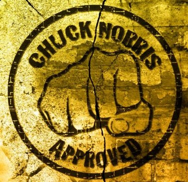chuck-norris-approved-162285.jpg