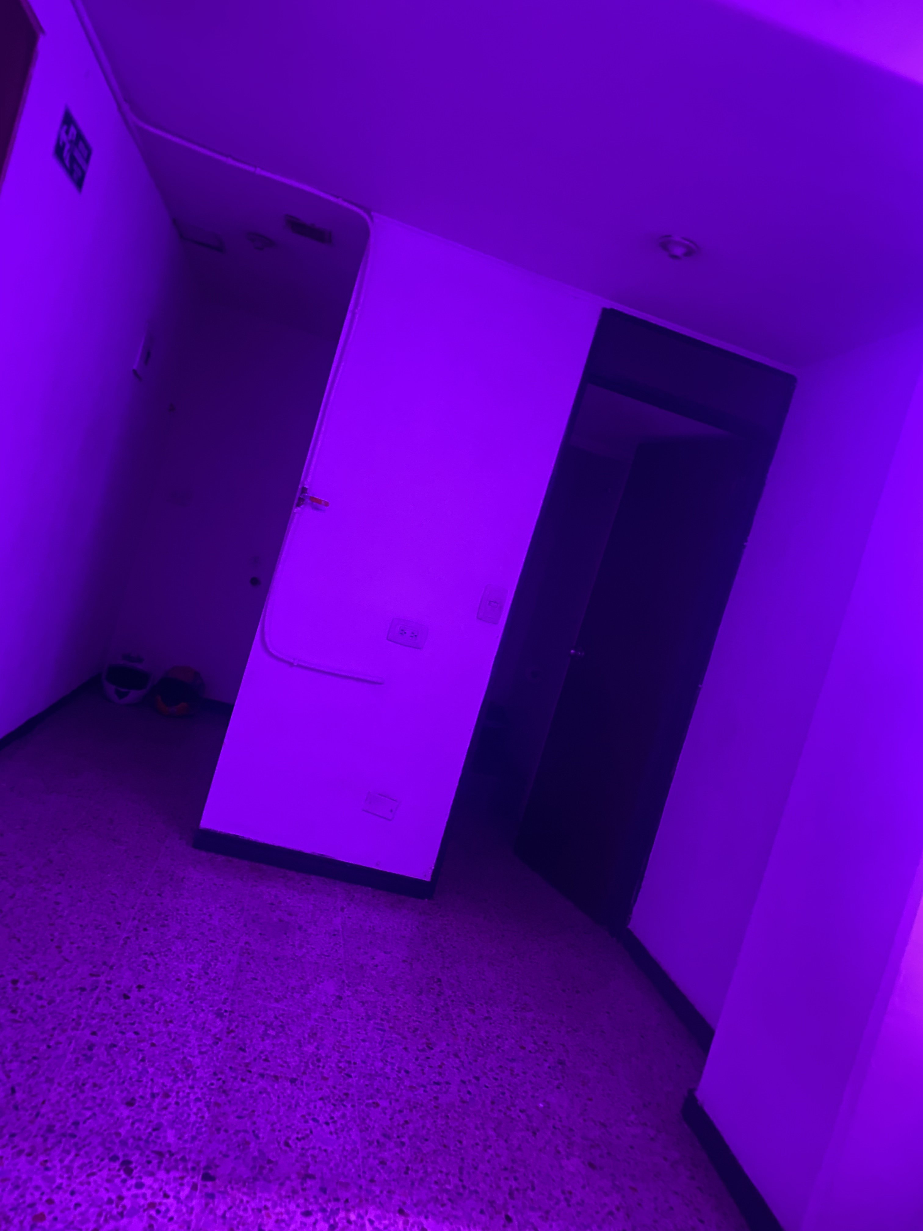 DF6B2EF2-73B3-4029-AA00-F3DDE8B014B2.jpeg