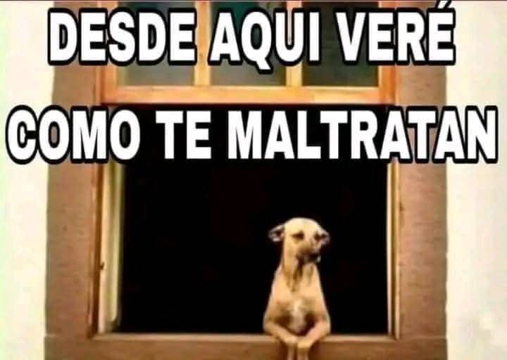 FB_IMG_1743998133313.jpg
