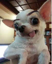 images.webp