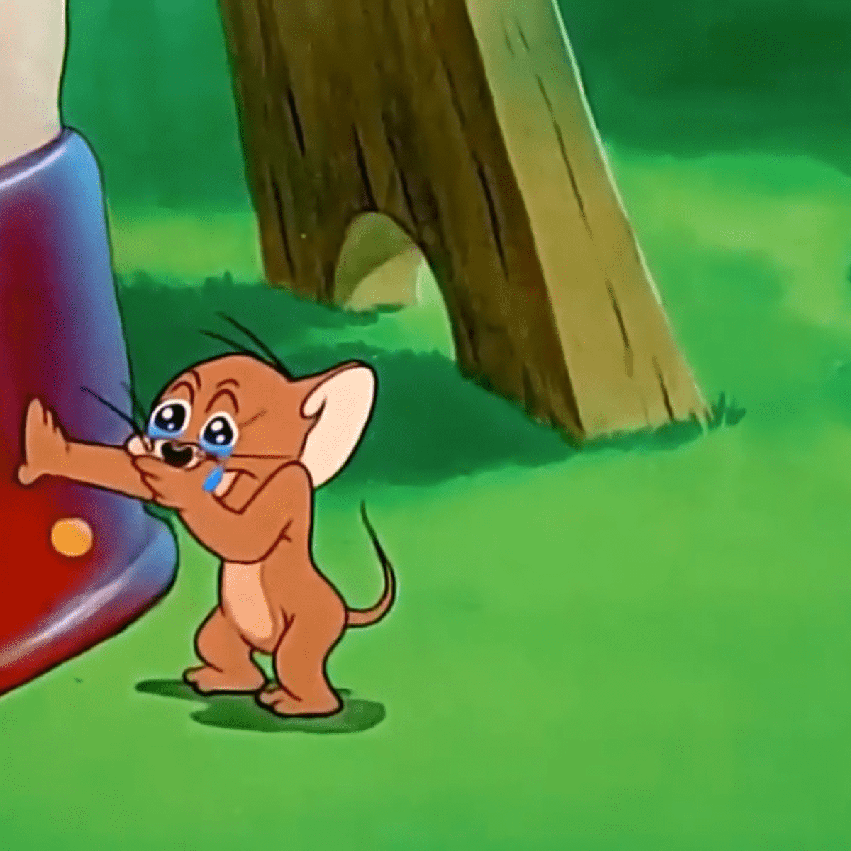 Jerry_llorando.png