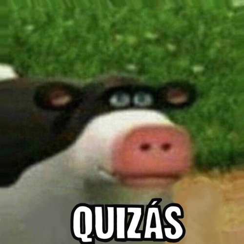 tumblr_pcotxry3IK1skdcts_500.jpg