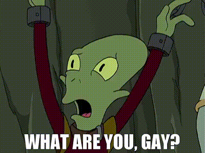 What are you, gay.gif