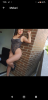 Screenshot_20191221-190511.png