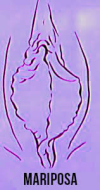 1744416519313.png