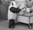 IMG_8710.gif