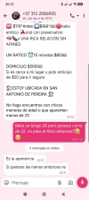 1000065117.webp