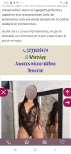 Screenshot_20201213-175205_Chrome.webp