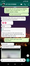 Screenshot_2021-08-16-17-42-16-806_com.whatsapp.jpg