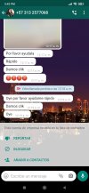 Screenshot_2021-08-16-17-42-04-049_com.whatsapp.jpg