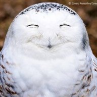 hjaime