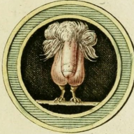 Pajaron