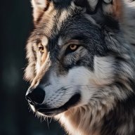 Elperro