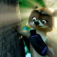 Mapache
