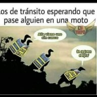 El loco valdes