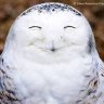 hjaime