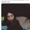 palpador