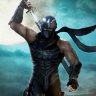 Ninja Gaiden