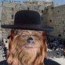 Jewbaca