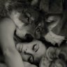 Elperrolobo