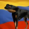 SapoPerro22H