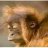 AlisterCrowley